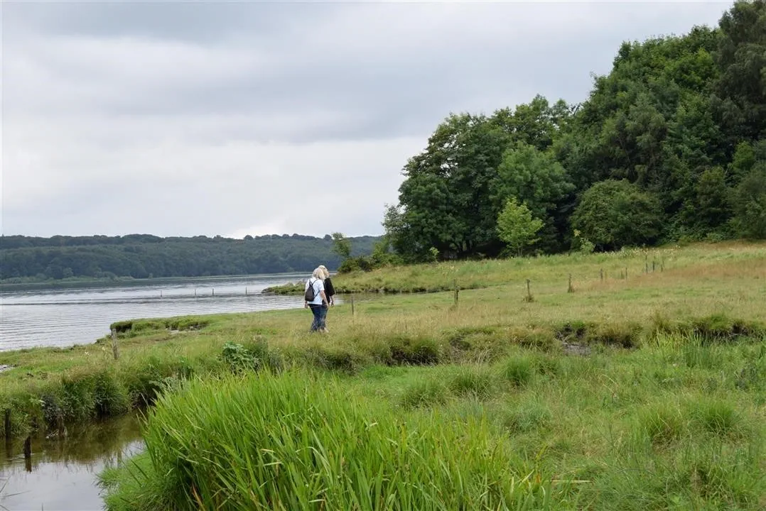 G21.5  bramslev bakker to hobro walk along mariager fjord (14)